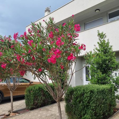 Apartmani Jozic Seline Esterno foto